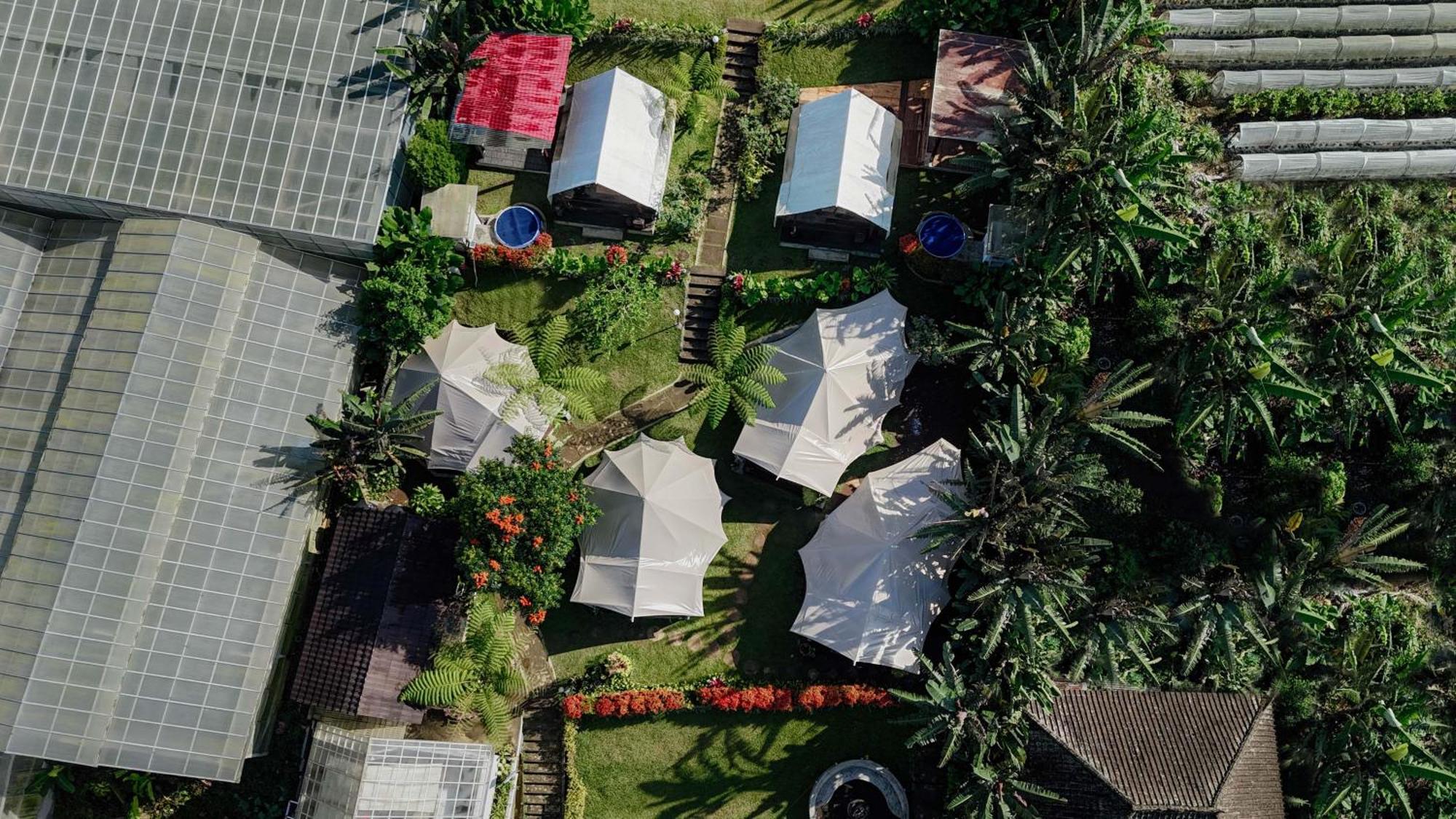 Alamu Eco Lodge Bedugul  Εξωτερικό φωτογραφία