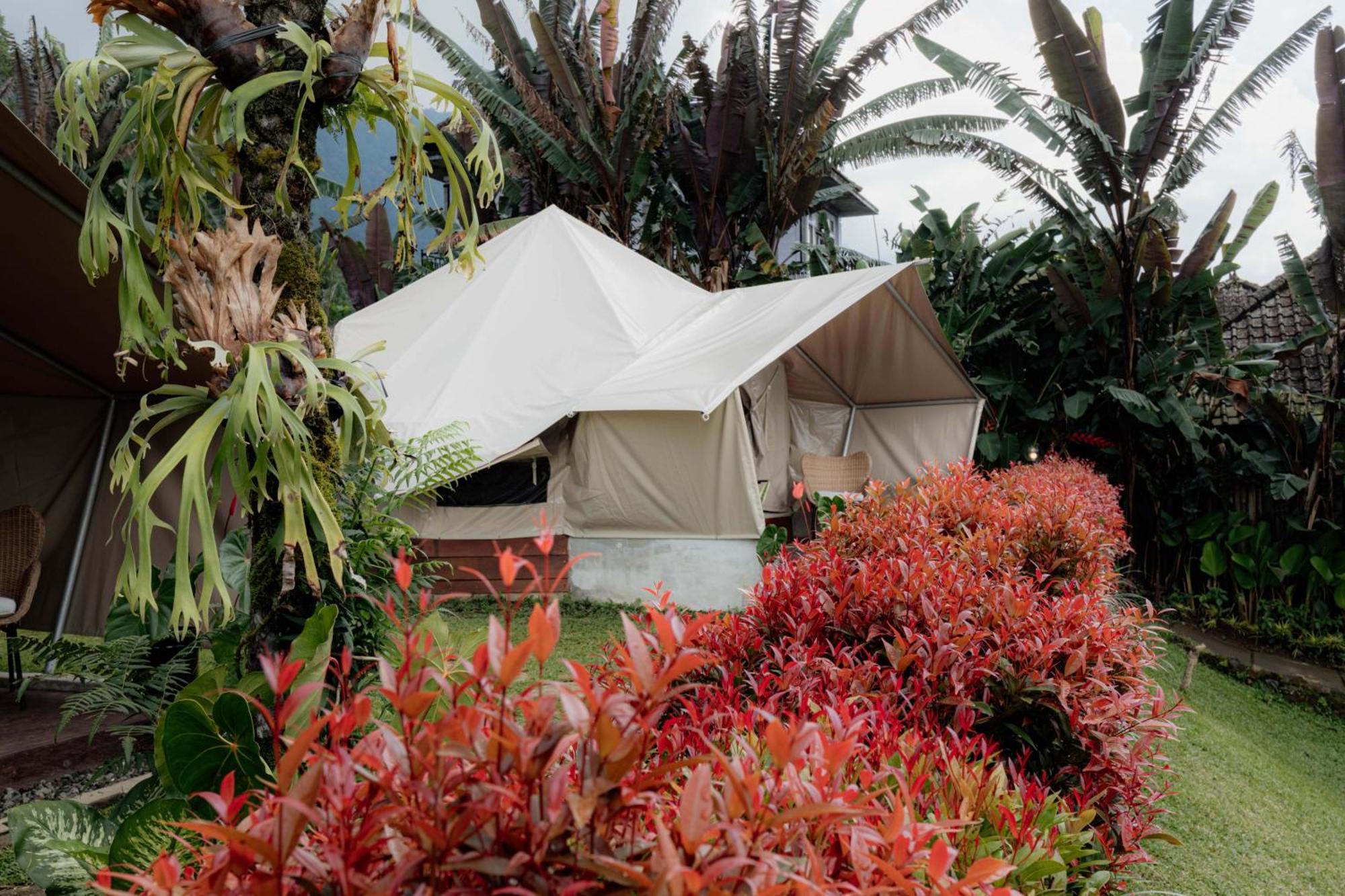 Alamu Eco Lodge Bedugul  Εξωτερικό φωτογραφία