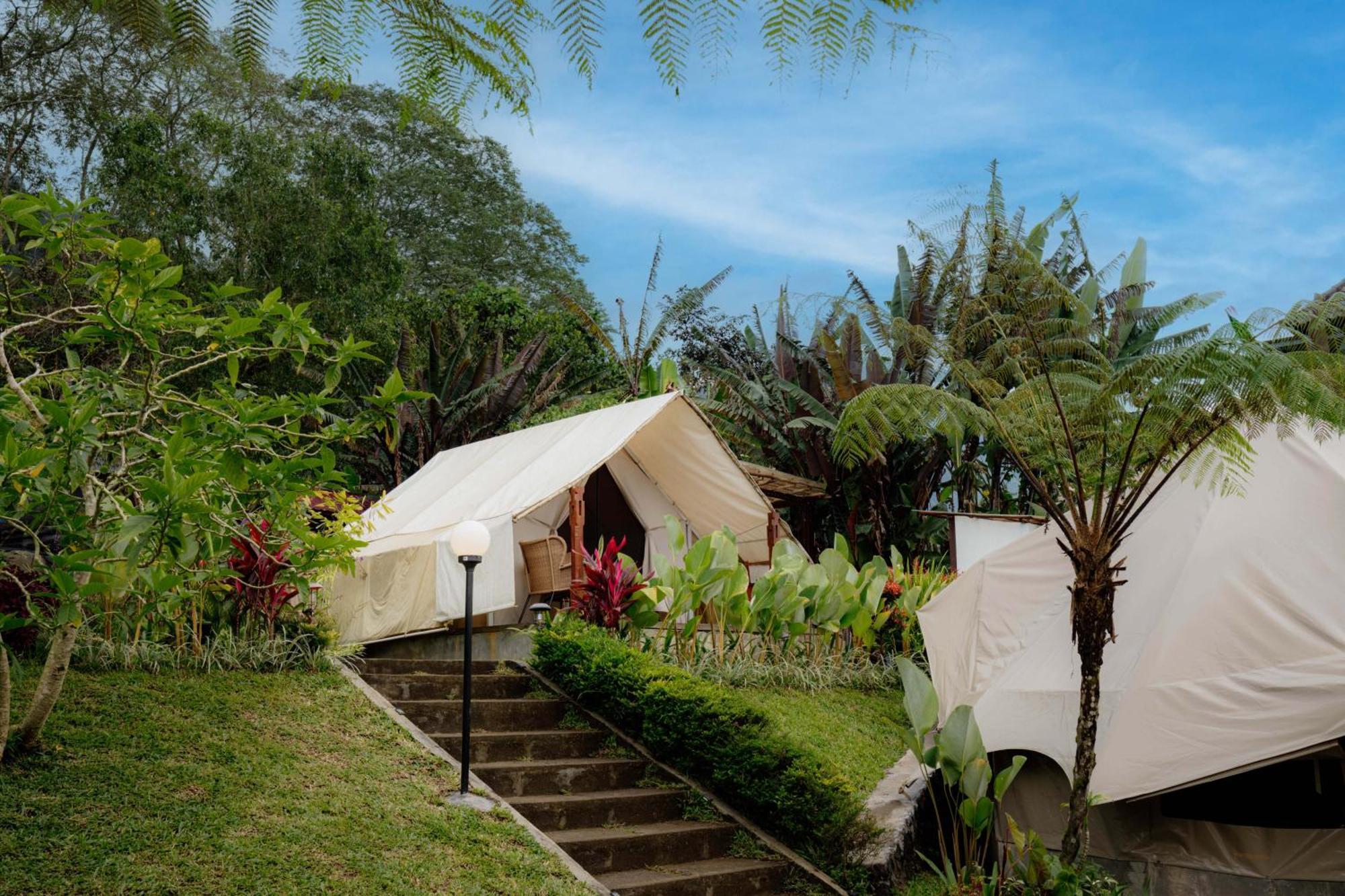 Alamu Eco Lodge Bedugul  Εξωτερικό φωτογραφία